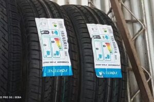 Gomeria“ELINDIO”