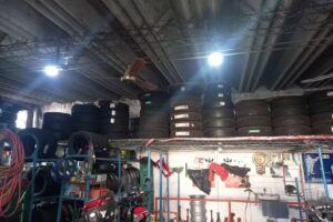 Gomería Isnardi &co