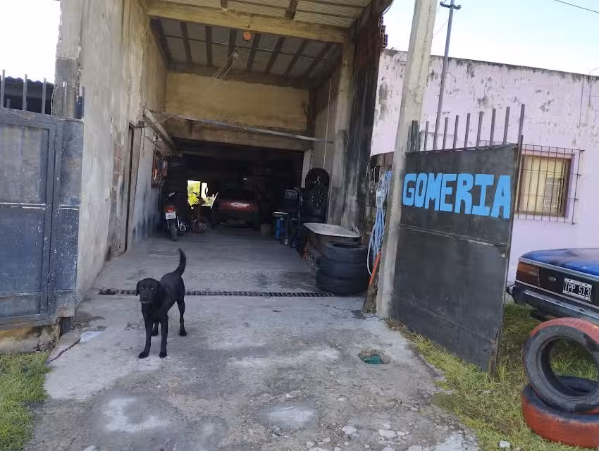 Gomería Jez car styling