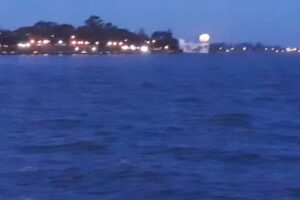 Gomeria la esperanza