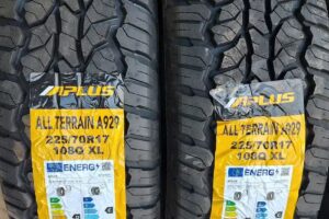 Gomeria la familia 2