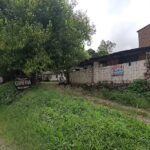 Gomeria La Solución