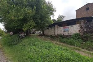 Gomeria La Solución