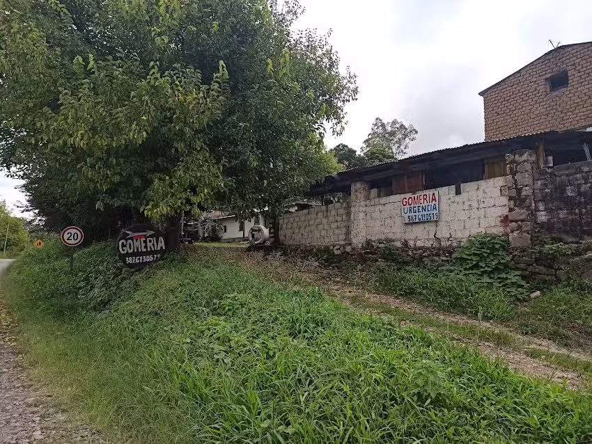 Gomeria La Solución