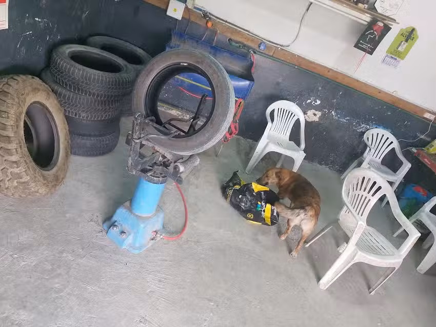 Gomeria La Tuerca Floja