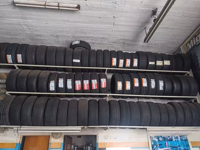 Gomeria Miguel Mamolite