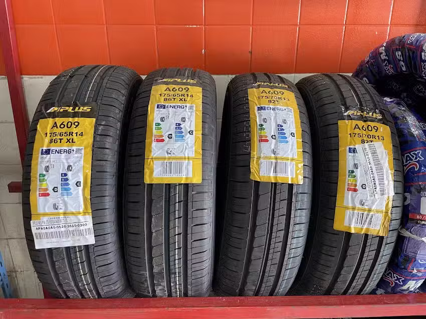 GOMERIA MYM FACUNDO LEPPEZ