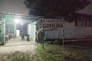 Gomería Parche loco