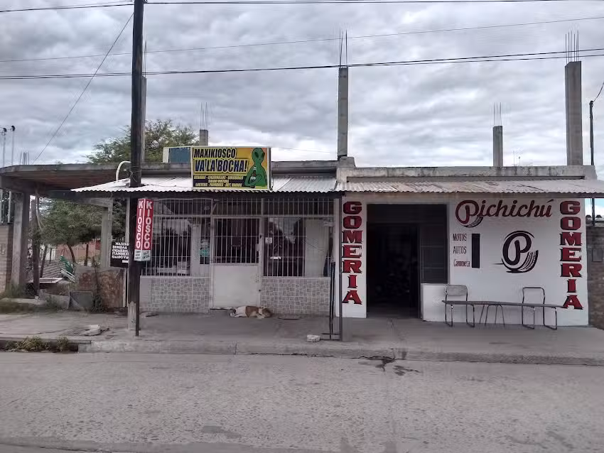 GOMERIA PICHICHU