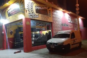 Gomeria pingaro neumaticos & sevicios