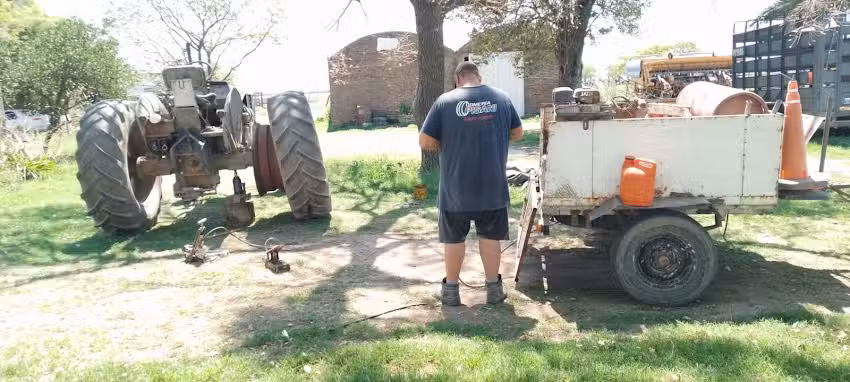 Gomeria Pisani Lehmann