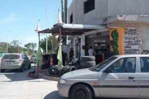 Gomeria «Salguero»