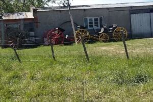 Gomería «Sol Naciente»