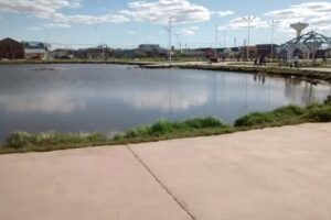 Gomeria y lubricentro poke