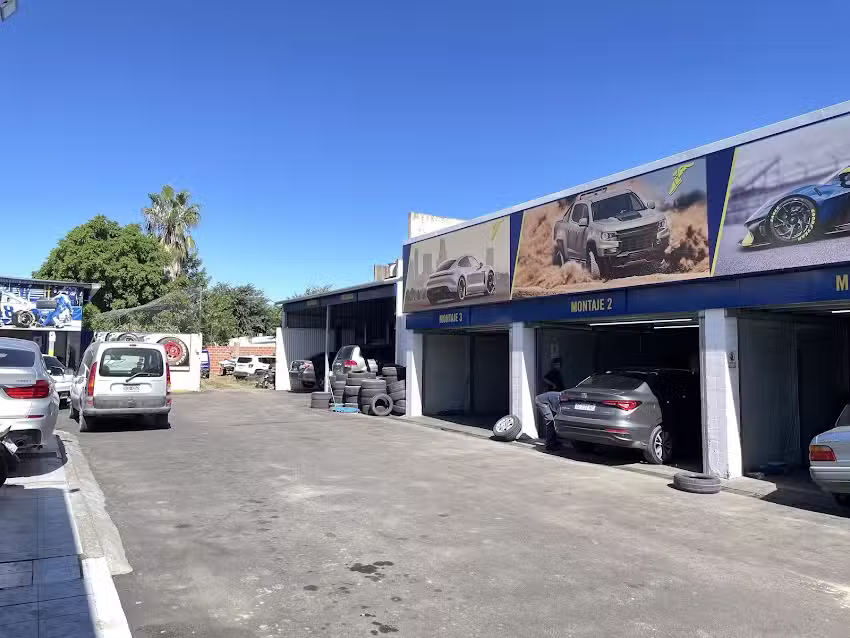 Goodyear Escobar Neumáticos