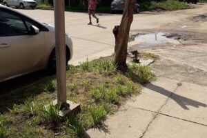 GPS Taller – Mecánica Esperon