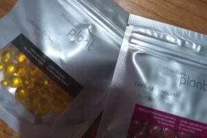 GPS Taller – Mecanica Nani