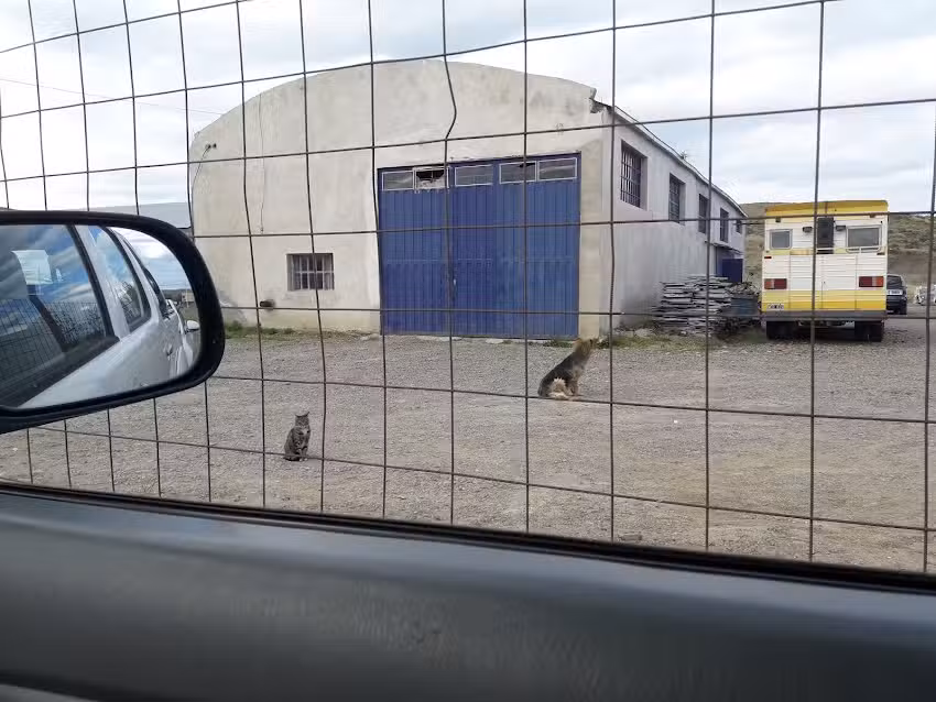 GPS Taller – Taller Mecanico Mach