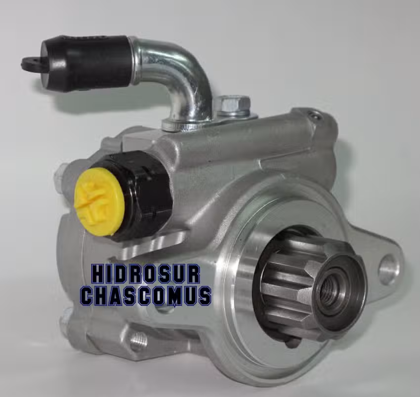 HIDROSUR CHASCOMÚS