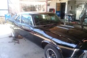 Inyeccion Electronica Menichetti