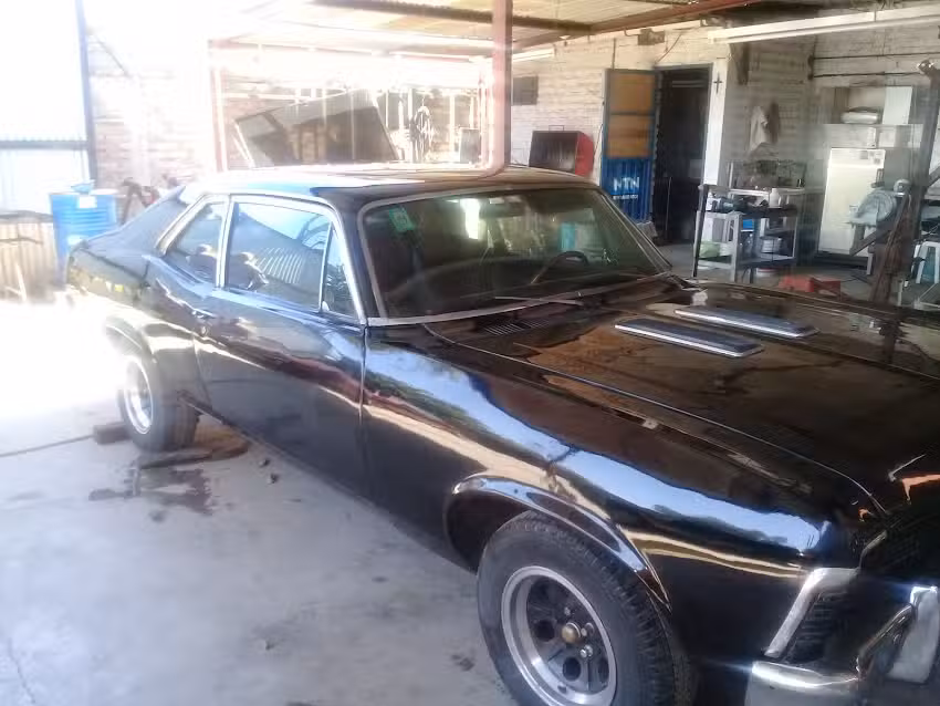 Inyeccion Electronica Menichetti