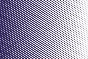 Jorge Pierini – Logística en repuestos