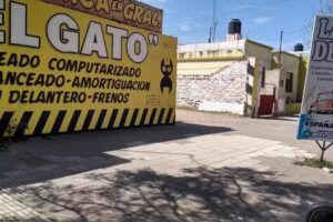 Lavadero y mecánica en gral el gato