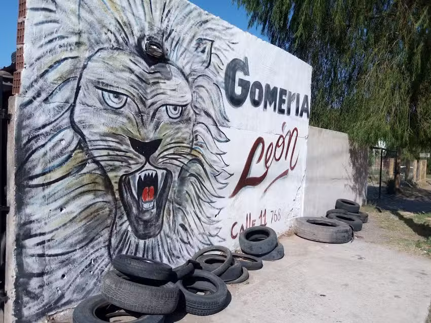 Leon gomeria calle 11 768