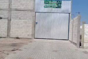 LM Electronica Del Automotor