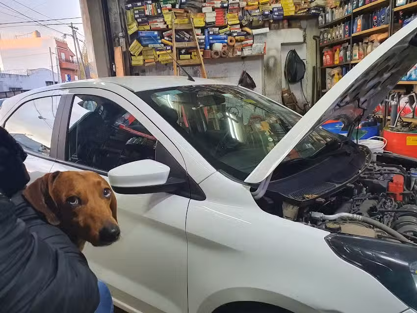 Lubricentro Engrase Antonio