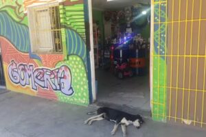 Lubricentro y gomeria matias