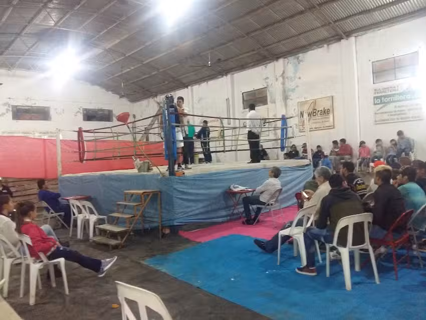 Maine Distribuciones