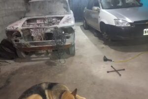 Mecánica automotriz Alex