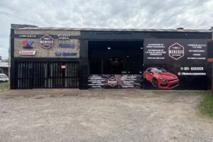 MENESES SUSPENSIONES