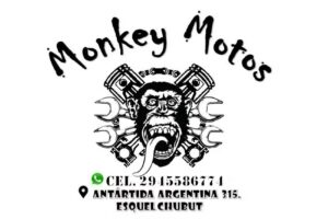 Monkey Motos
