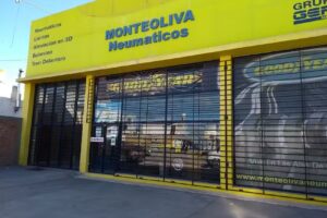 Monteoliva Neumáticos