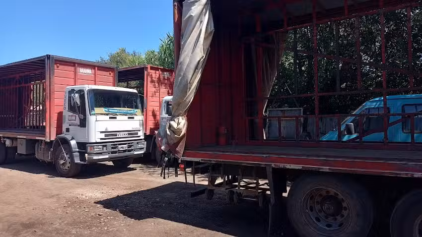 Multitecnica Venado de Marcelo Flocco e hijos.