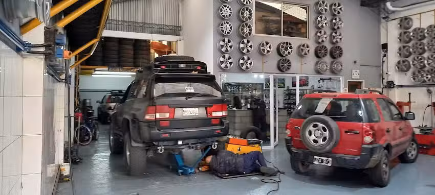 Neumaflores Lomas D. Mirador