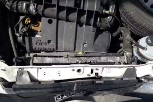 Neumaticos Bernal Sa