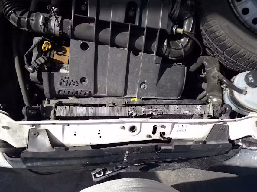 Neumaticos Bernal Sa