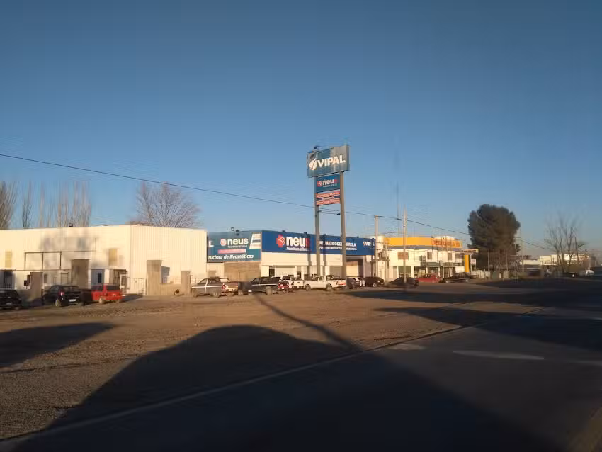 Neumaticos del Sur S.A