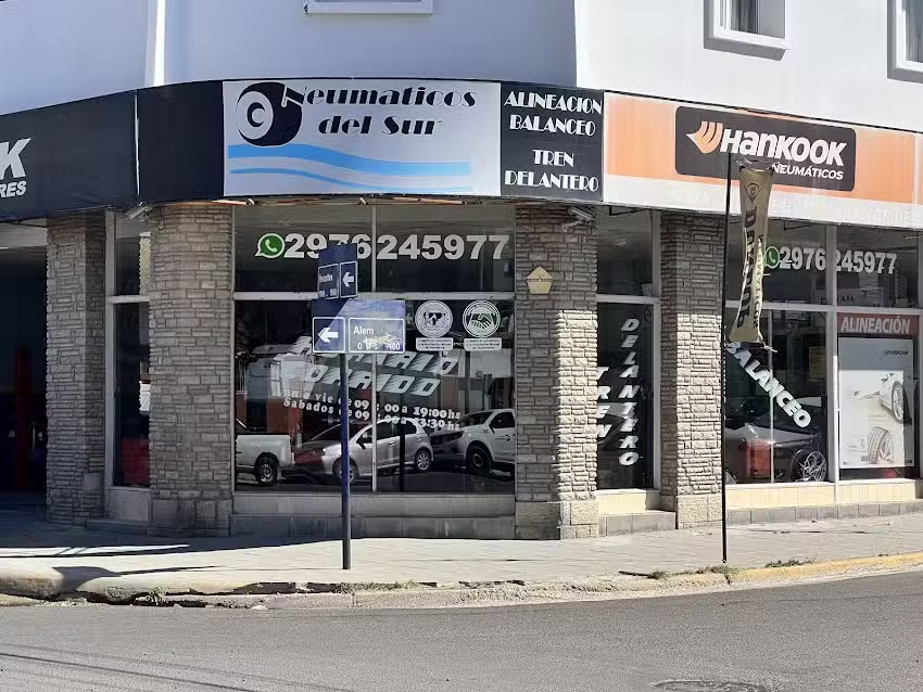 Neumáticos del sur srl