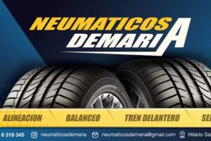 Neumáticos Demaria