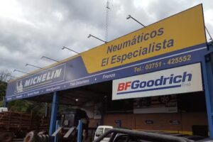 Neumaticos el Especialista