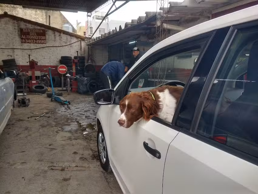 Neumáticos «Garin»