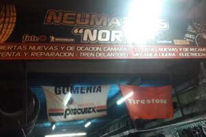 Neumáticos «Norte»