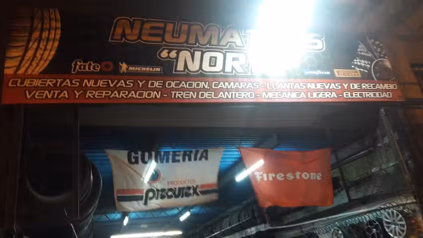 Neumáticos «Norte»