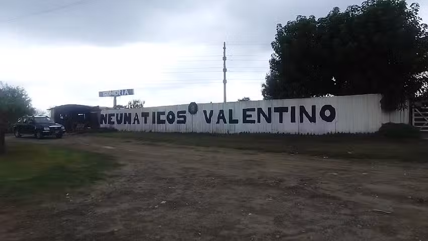 Neumáticos Valentino