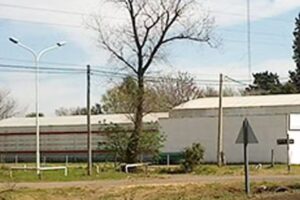 Neumaticos Vetorelli