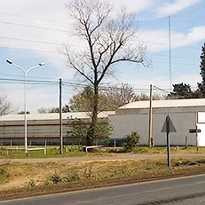 Neumaticos Vetorelli